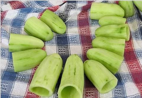 Kabak Kurusu 1 Dizim (25 Adet) 3 Kabak Kurusu Yapımı